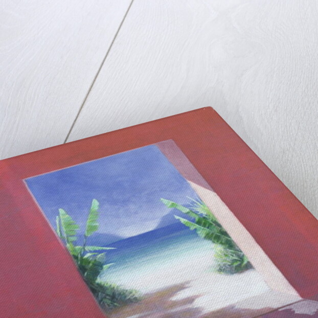 Banana Palms, 2005 by Lincoln Seligman