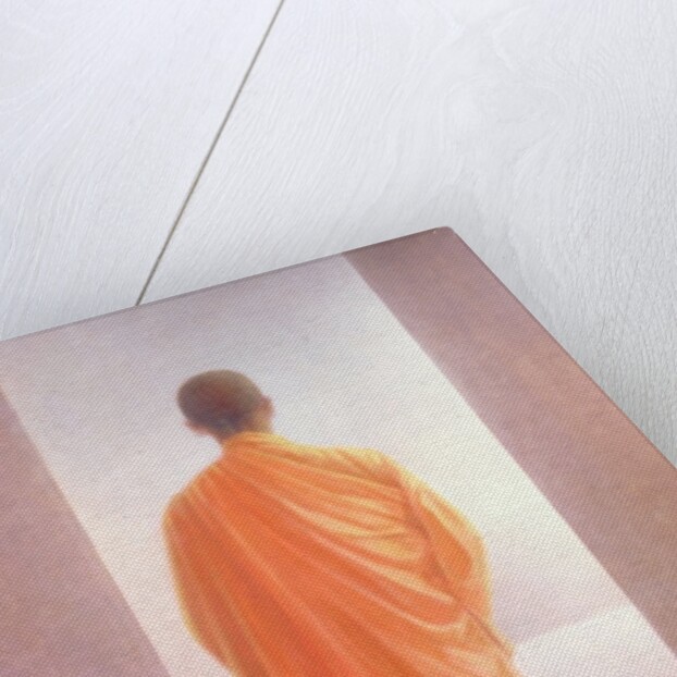 Young Monk, back view, Vietnam by Lincoln Seligman