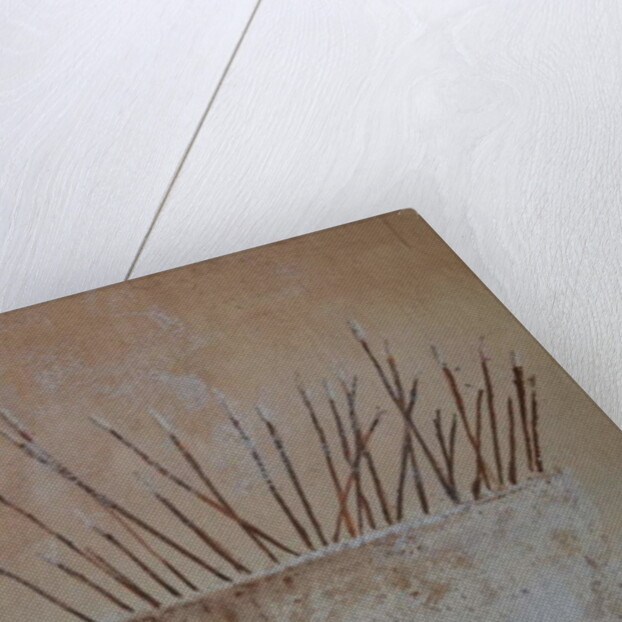 Incense Sticks by Lincoln Seligman