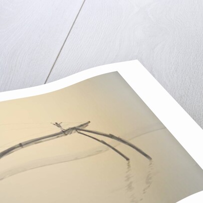 Fishing Nets Cochin 2 by Lincoln Seligman