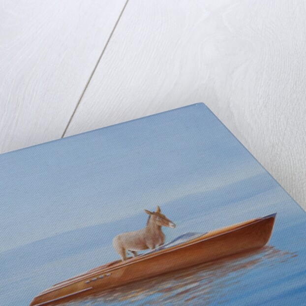Donkey in a Riva, 2010 by Lincoln Seligman