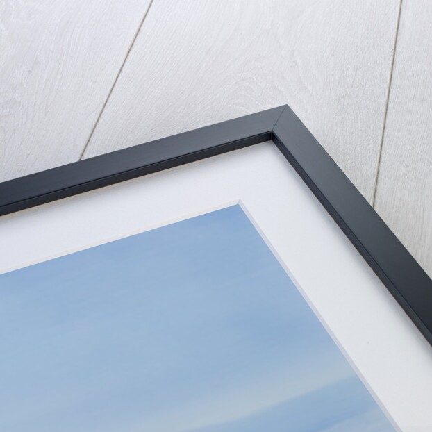 Donkey in a Riva, 2010 by Lincoln Seligman