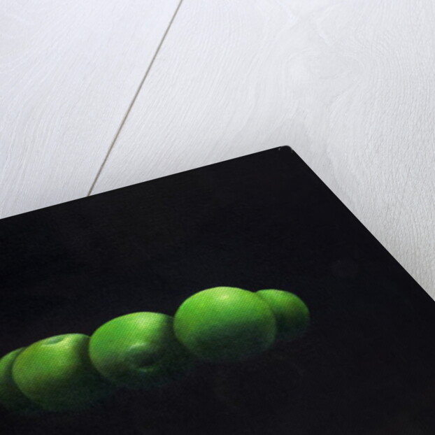 Five Green Apples by Lincoln Seligman