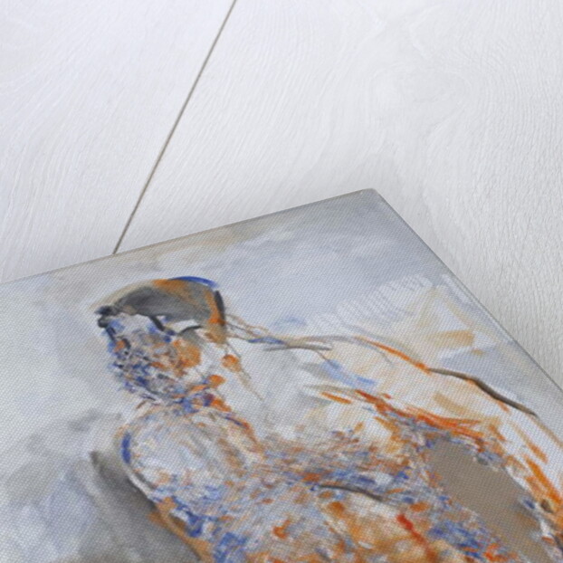 Duncan Hume dancing aged 38, 2011 by Stephen Finer