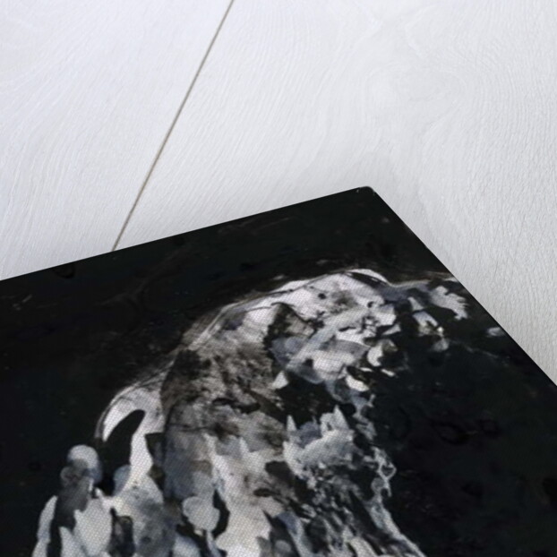 Hand of a woman in her eighties, 2007 by Stephen Finer