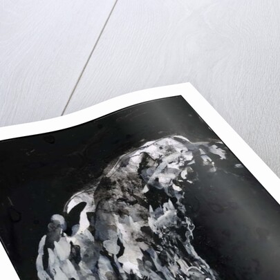 Hand of a woman in her eighties, 2007 by Stephen Finer