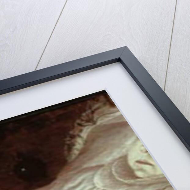 Portrait of a Dead Child, 1624 by English School