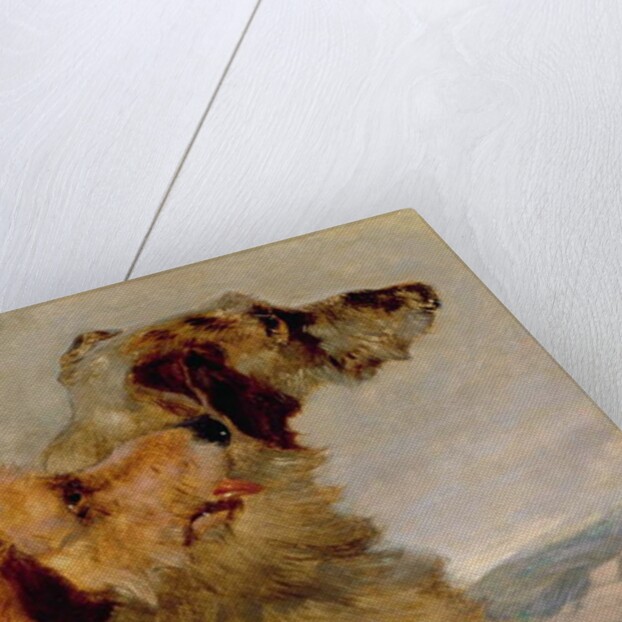 Two Deerhounds, 1851 by John Frederick Herring Snr