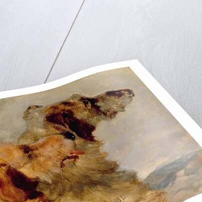 Two Deerhounds, 1851 by John Frederick Herring Snr