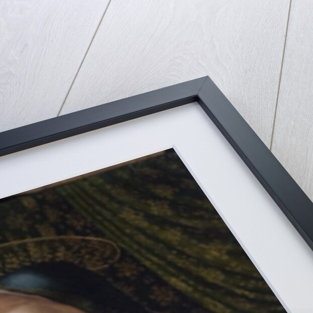 Madonna and Child by Giuliano Bugiardini