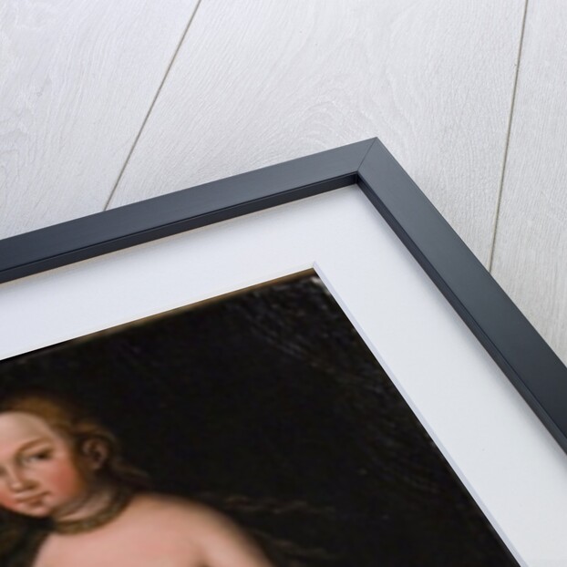 Venus and Cupid by Lucas the Elder Cranach