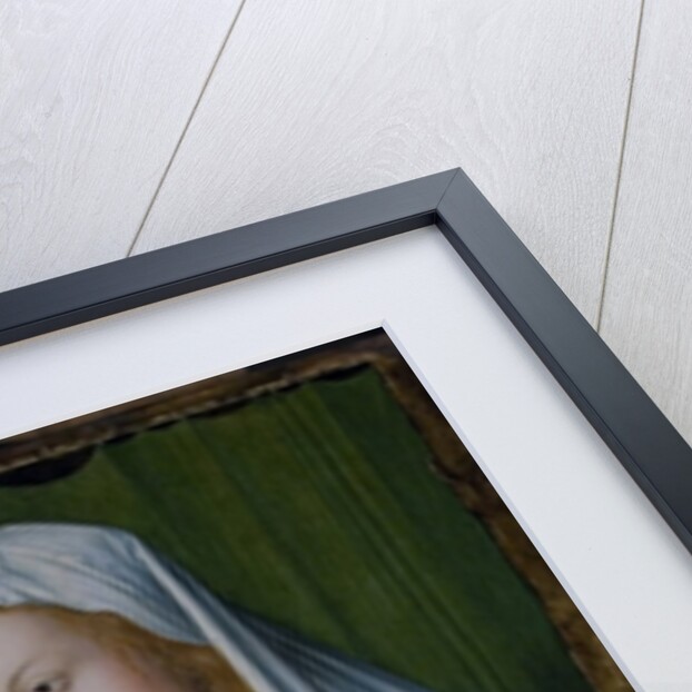 Madonna and Child by Albrecht Durer or Duerer