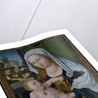 Madonna and Child by Albrecht Durer or Duerer