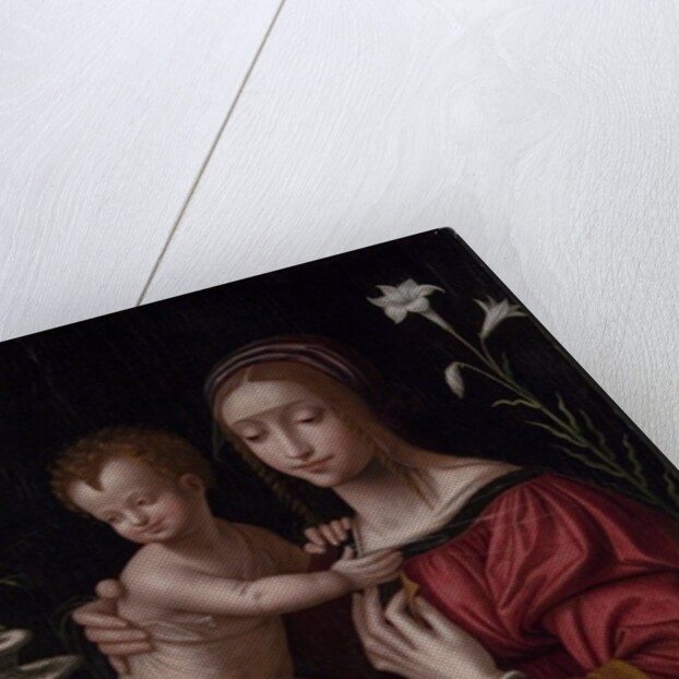 Madonna and Child by Bernardino Luini