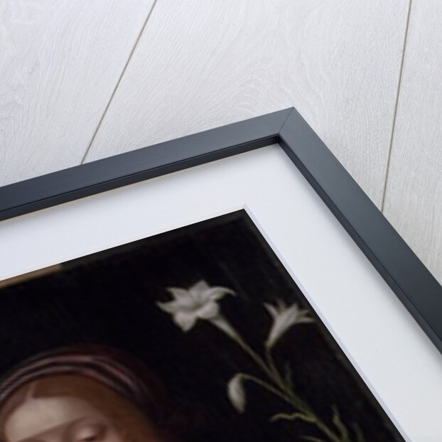 Madonna and Child by Bernardino Luini