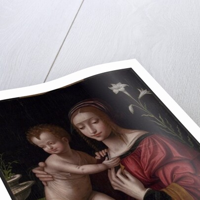 Madonna and Child by Bernardino Luini
