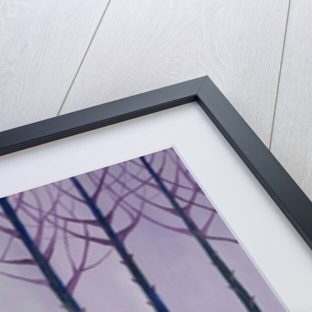 Walk in the Park, 1989 by Laila Shawa