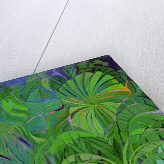 Rain Forest, Malaysia, 1990 by Laila Shawa