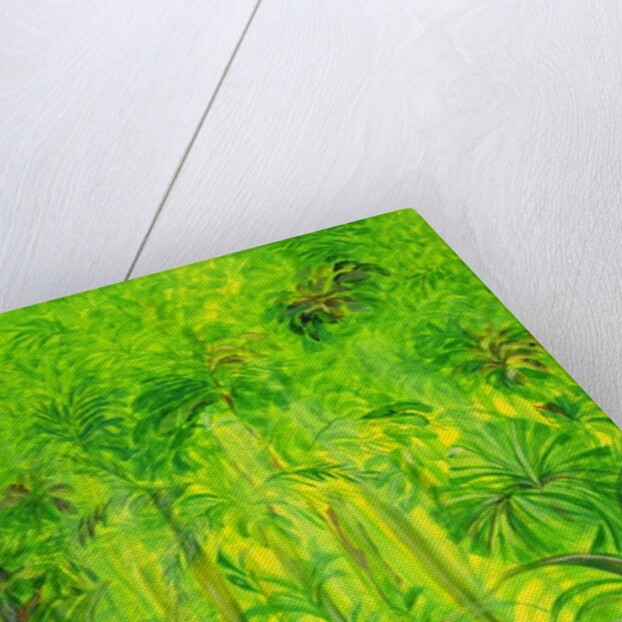 Rain Forest, Malaysia, 1990 by Laila Shawa