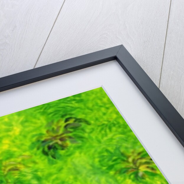 Rain Forest, Malaysia, 1990 by Laila Shawa