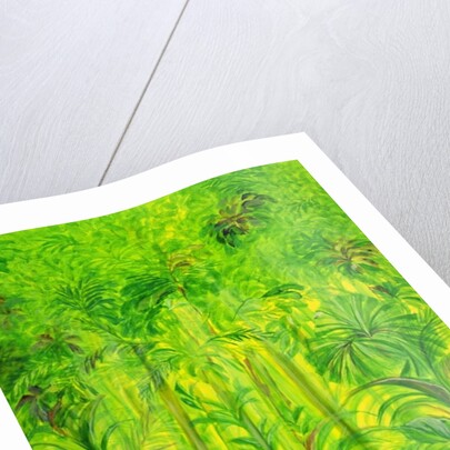 Rain Forest, Malaysia, 1990 by Laila Shawa