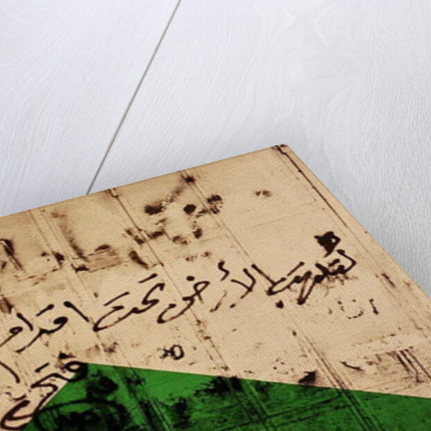 Flag I, 1992 by Laila Shawa