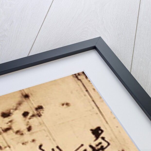 Flag I, 1992 by Laila Shawa