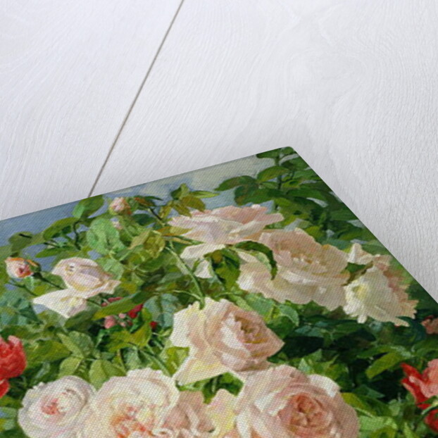 Pink Roses by Pierre Garnier