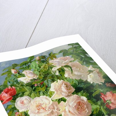 Pink Roses by Pierre Garnier