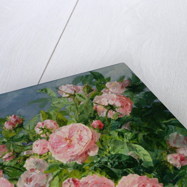 Pink Roses by Pierre Garnier