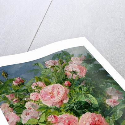 Pink Roses by Pierre Garnier