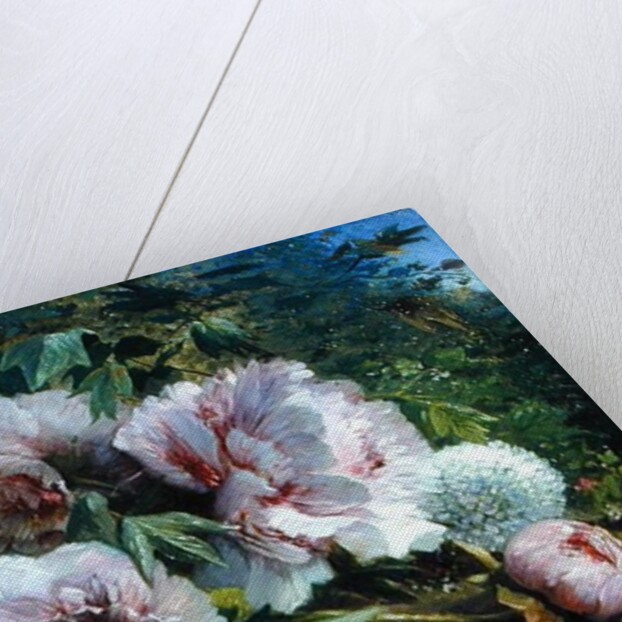 Study of Peonies, 1874 by Amedee Baudit