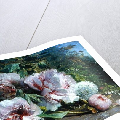 Study of Peonies, 1874 by Amedee Baudit
