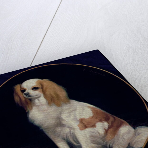 King Charles Spaniel by Charles Emile Callande de Champmartin