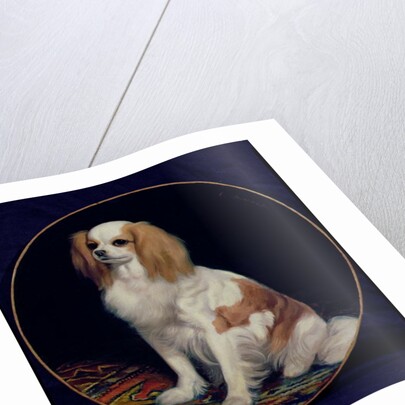 King Charles Spaniel by Charles Emile Callande de Champmartin