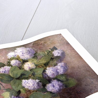 Blue Hydrangeas by Henri Lerolle