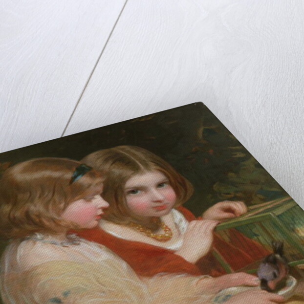 The Pet Bullfinch by James Sant