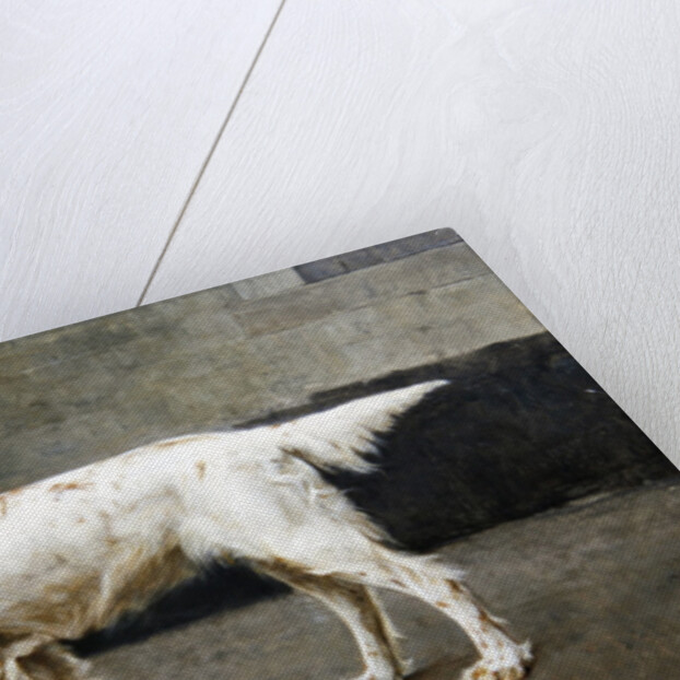 Empress Meg, KCSB, 14953, 1885 by Charles van den Eycken