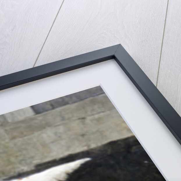 Empress Meg, KCSB, 14953, 1885 by Charles van den Eycken