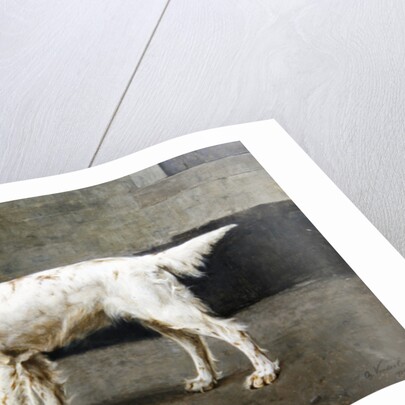 Empress Meg, KCSB, 14953, 1885 by Charles van den Eycken