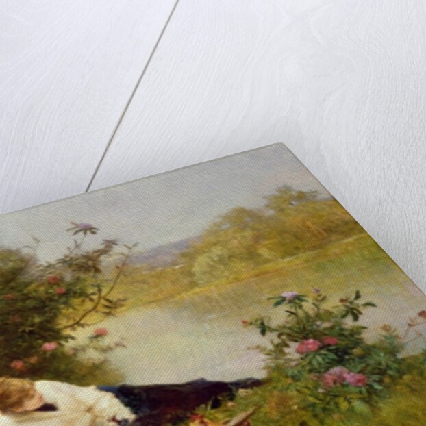 Woman on a River Bank by Ferdinand Heilbuth