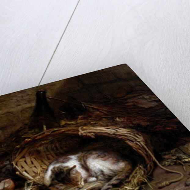 The Afternoon Nap by Jules Gasson