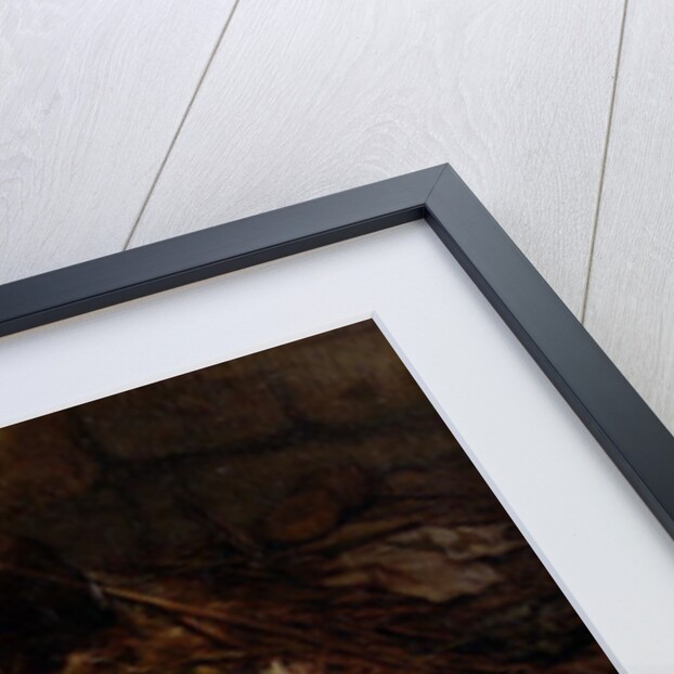 The Afternoon Nap by Jules Gasson