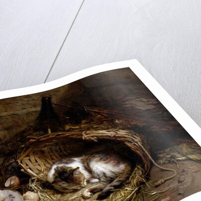 The Afternoon Nap by Jules Gasson