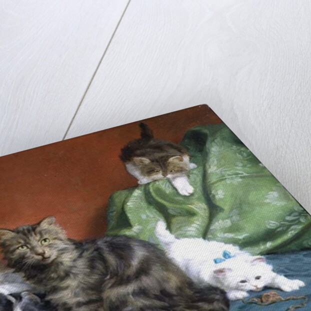 Playful Kittens by Daniel Merlin