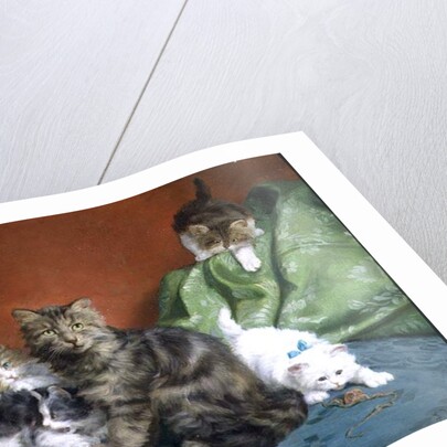 Playful Kittens by Daniel Merlin