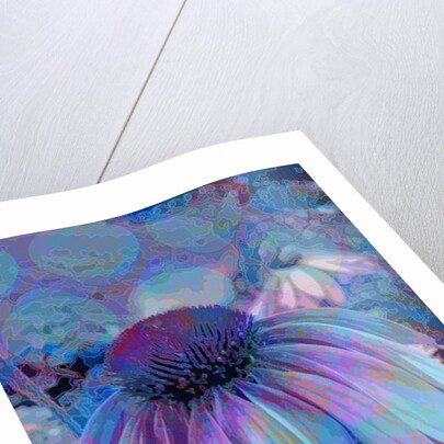 Cone Flower, 2015 by Scott J. Davis