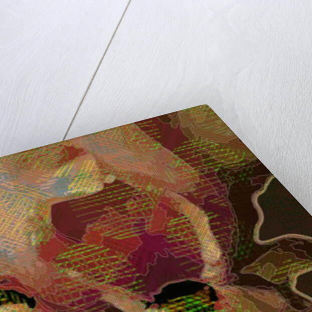 Bearded Iris, 2015 by Scott J. Davis