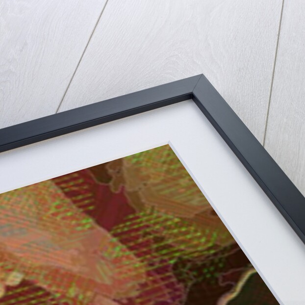 Bearded Iris, 2015 by Scott J. Davis