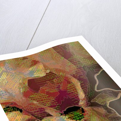 Bearded Iris, 2015 by Scott J. Davis